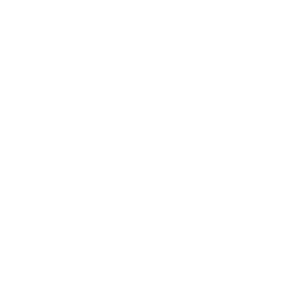 logo of brac